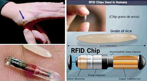 pic of rfid chip|rfid for personal use.